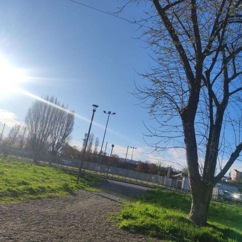 Fotosegnalazione di Torino mirafiori sud