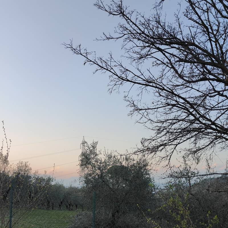 Fotosegnalazione di Creazzo