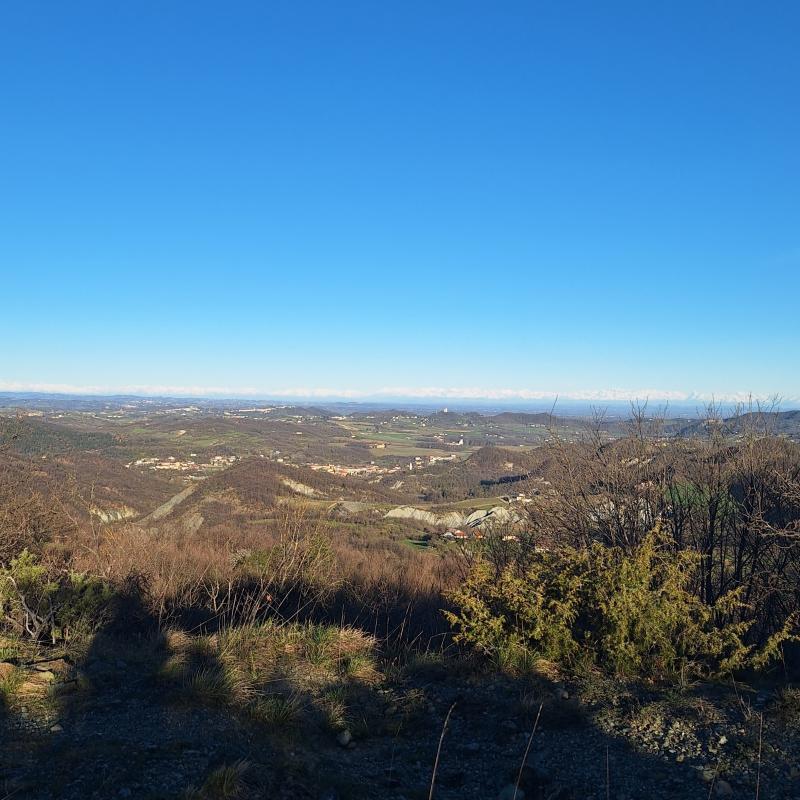 Fotosegnalazione di Arquata scrivia