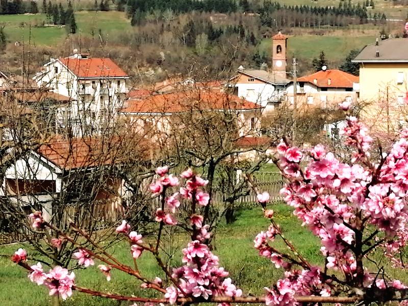 Primavera a Saliceto.