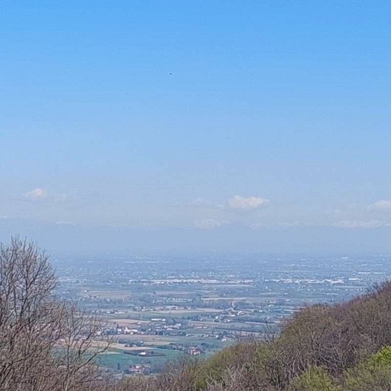 Teolo
