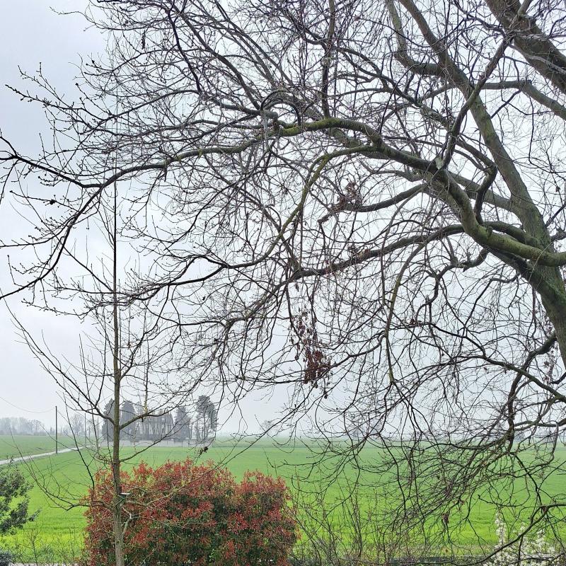 Fotosegnalazione di Torre de' picenardi