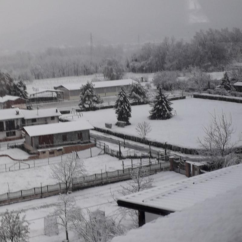 Fotosegnalazione di Borgo san dalmazzo