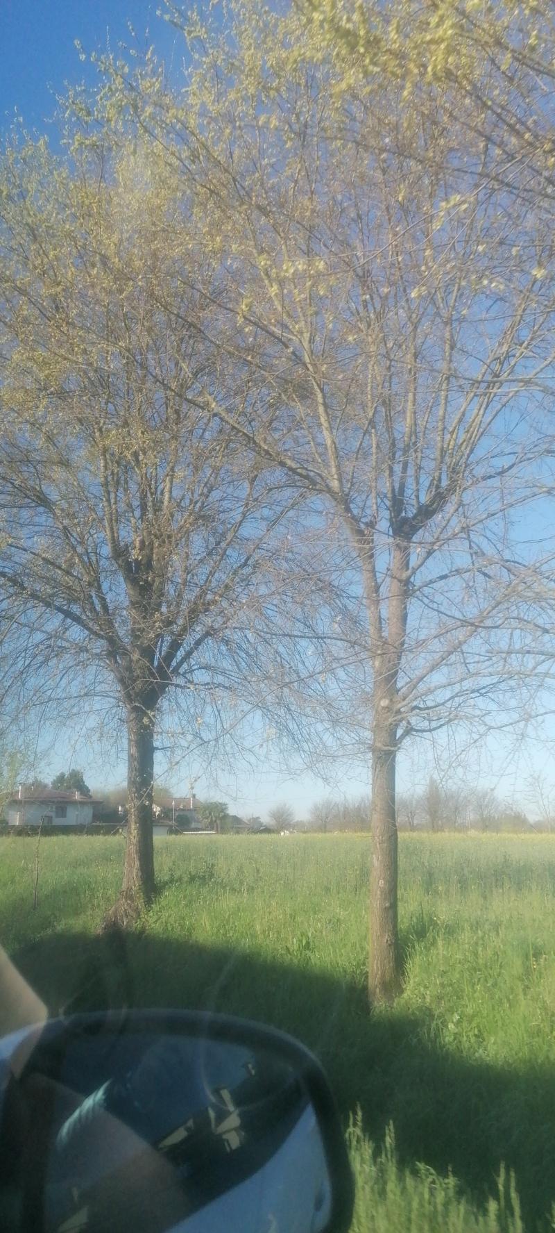 1 aprile di sole