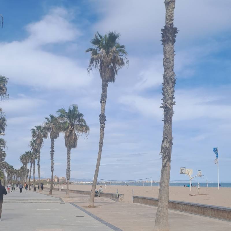 Fotosegnalazione di Alboraya