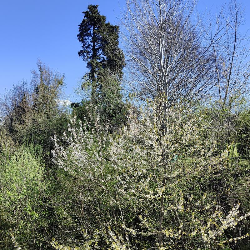 Fotosegnalazione di Barbania