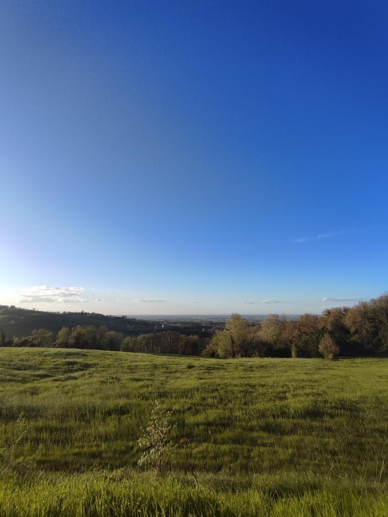 cielo limpido