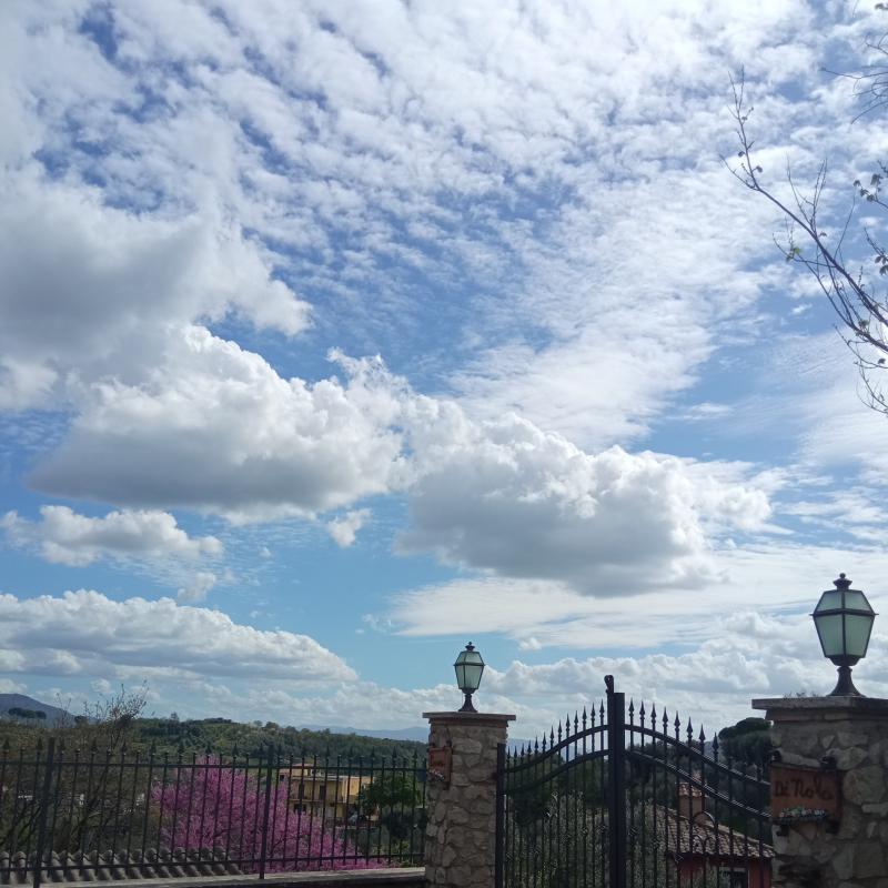 Fotosegnalazione di Palombara sabina