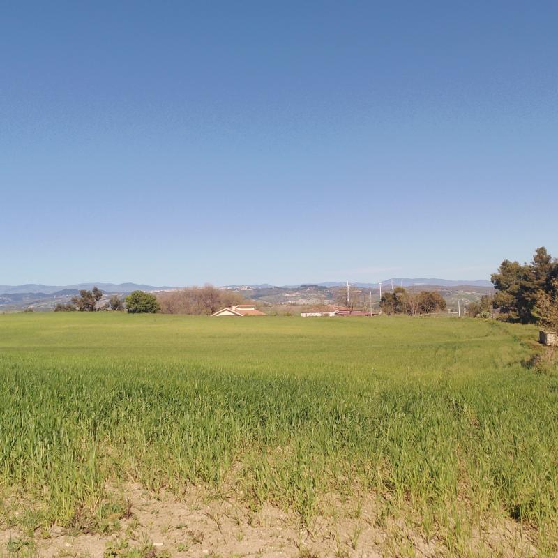 Fotosegnalazione di Crotone nord