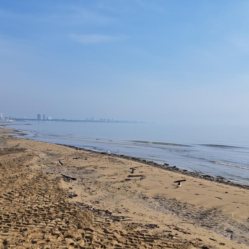 Fotosegnalazione di Lignano pineta