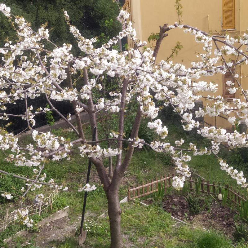 Fotosegnalazione di Genova val polcevera