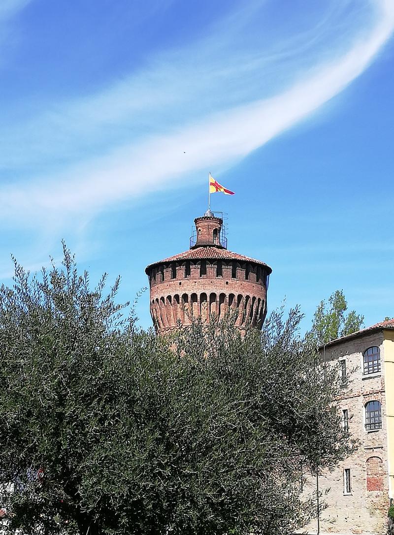 ulivo davanti al torrione