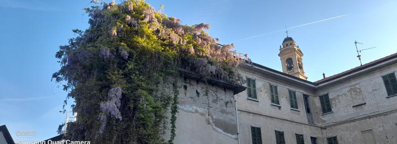 la natura arriva ovunque