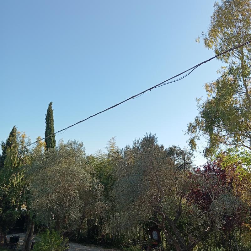 Cielo sereno temperatura estiva