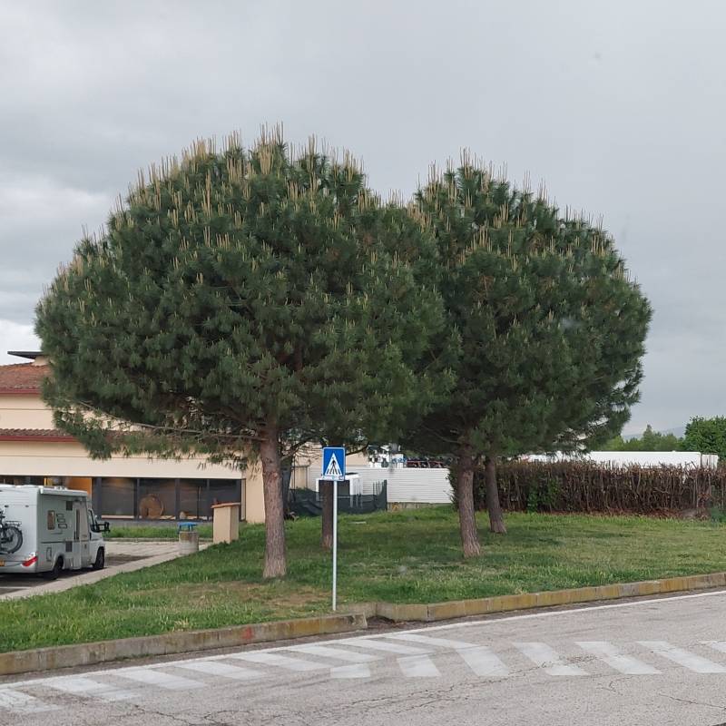 Fotosegnalazione di Civitella d'agliano