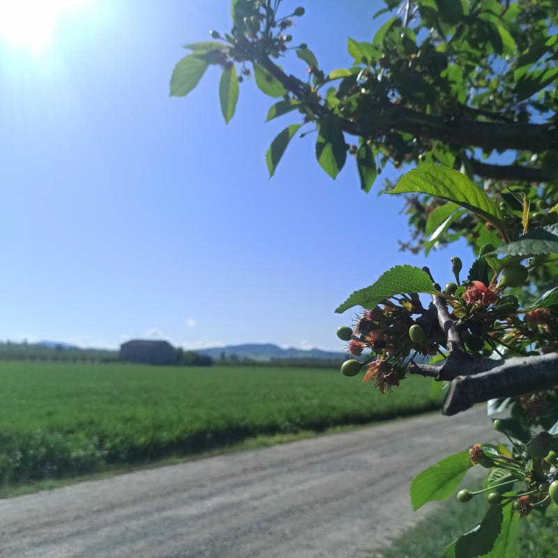 Fotosegnalazione di Spilamberto