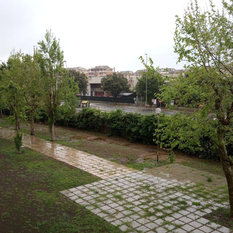 Fotosegnalazione di Lido di ostia