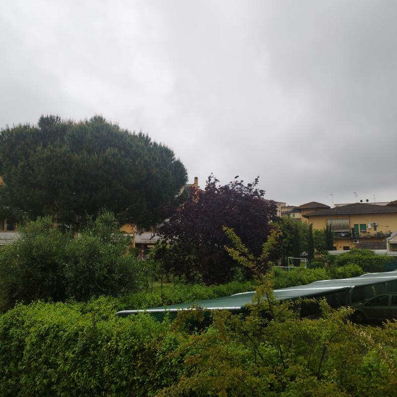 Fotosegnalazione di Scandicci
