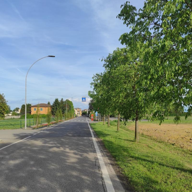 Fotosegnalazione di Zerbo