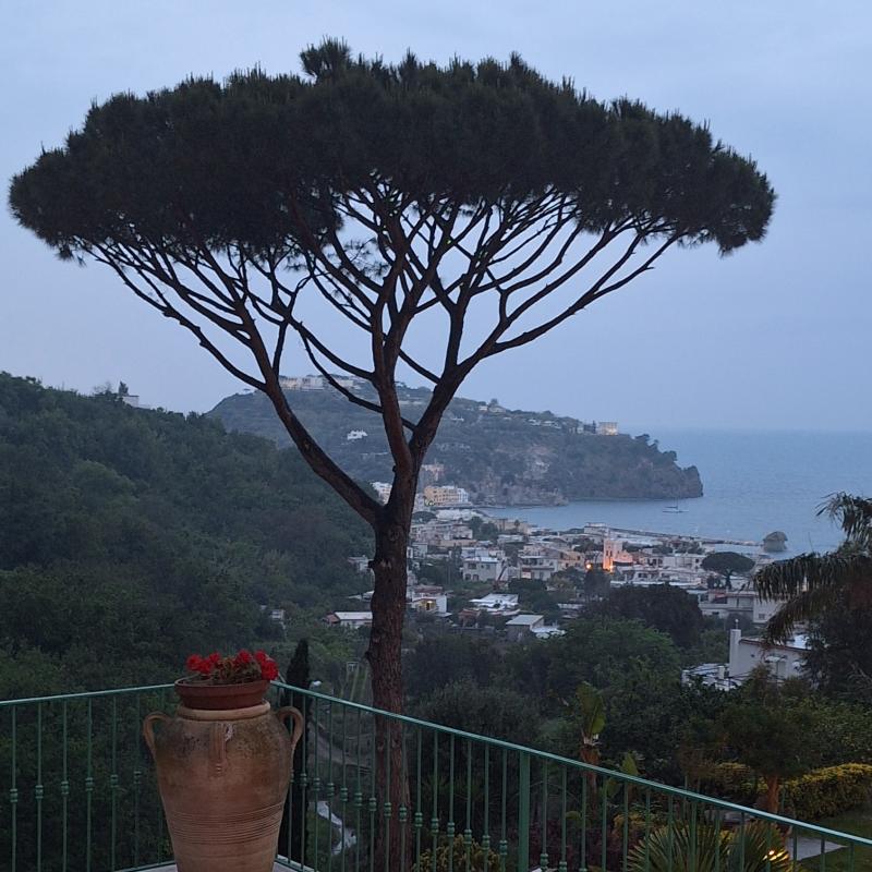 Hotel la pergola