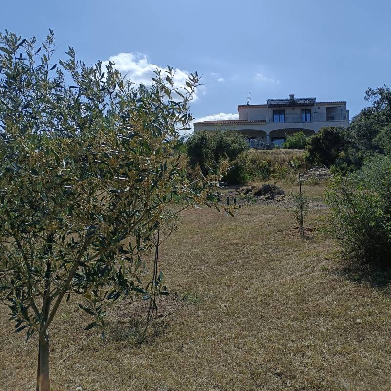 Fotosegnalazione di Telti