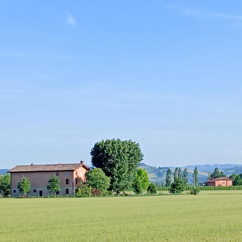 Fotosegnalazione di Spilamberto