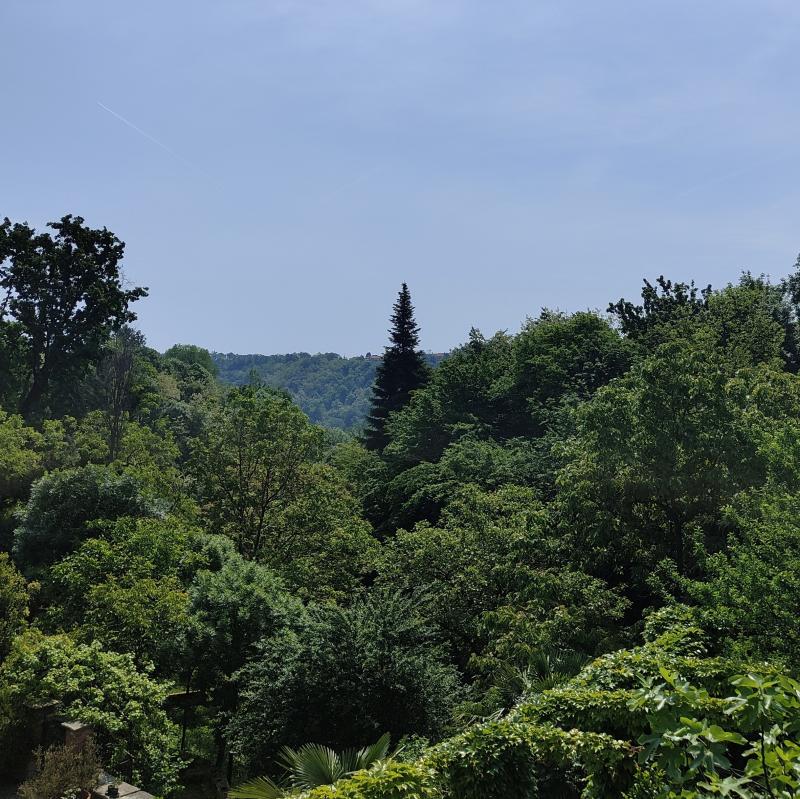 Fotosegnalazione di Barbania