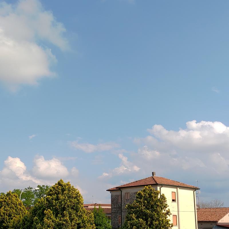 Fotosegnalazione di Montagnana
