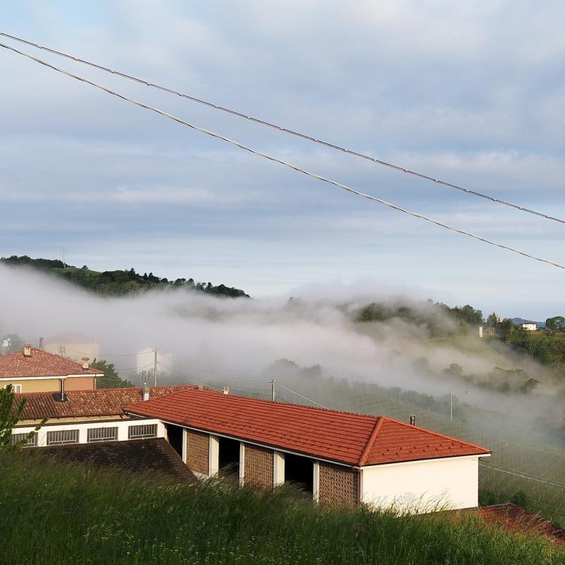 Fotosegnalazione di Cassinasco