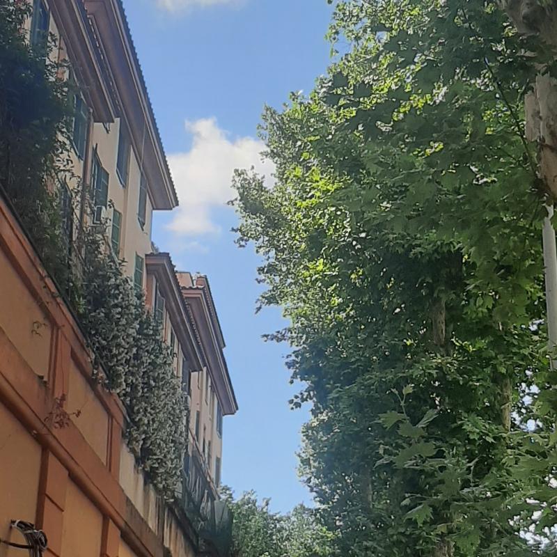 Fotosegnalazione di Roma tiburtino