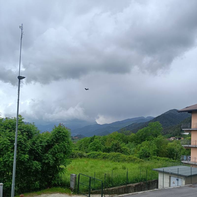 Fotosegnalazione di Fino del monte
