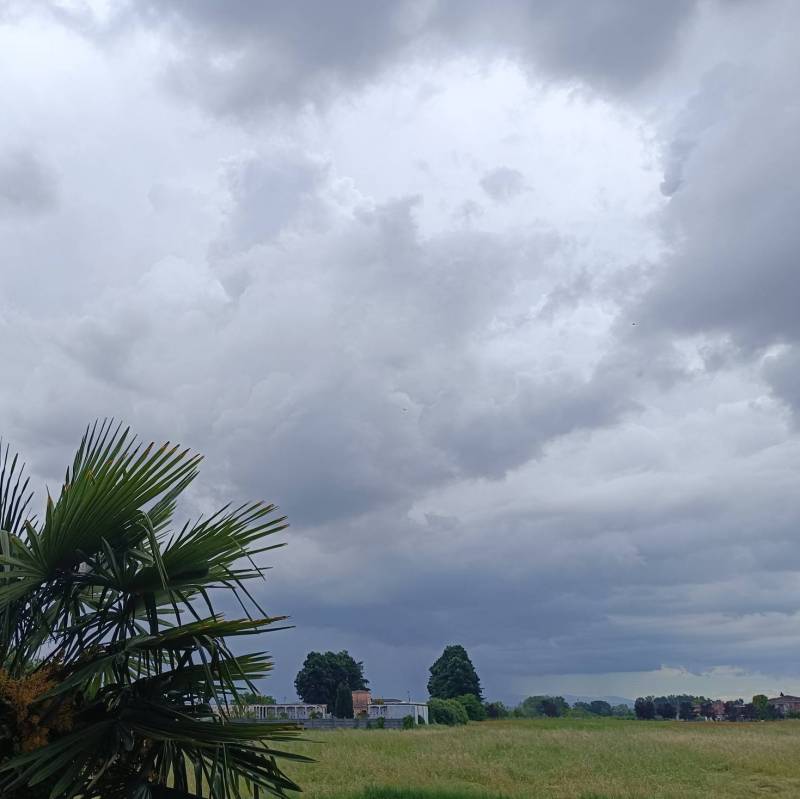 Fotosegnalazione di Lardirago