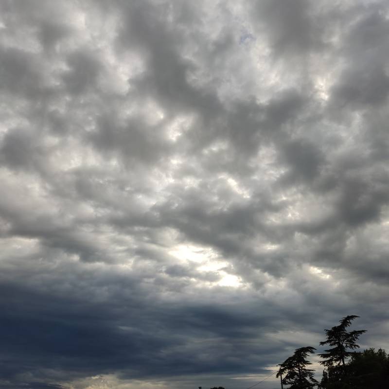 Contrasto di bianco e nero....