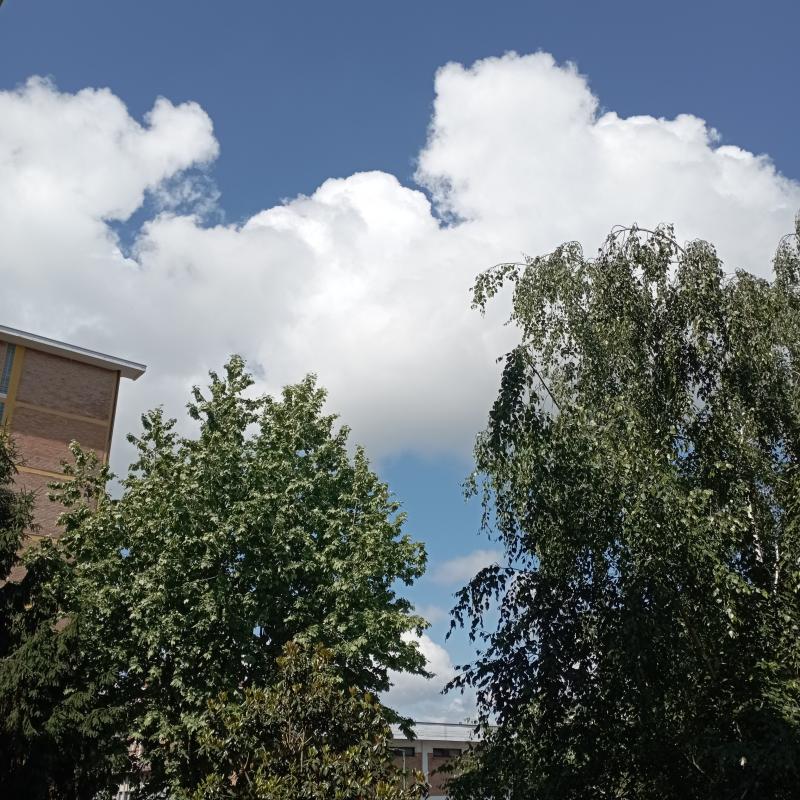 Fotosegnalazione di Settimo torinese