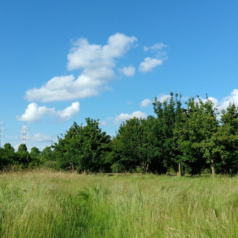 Fotosegnalazione di San giuliano milanese