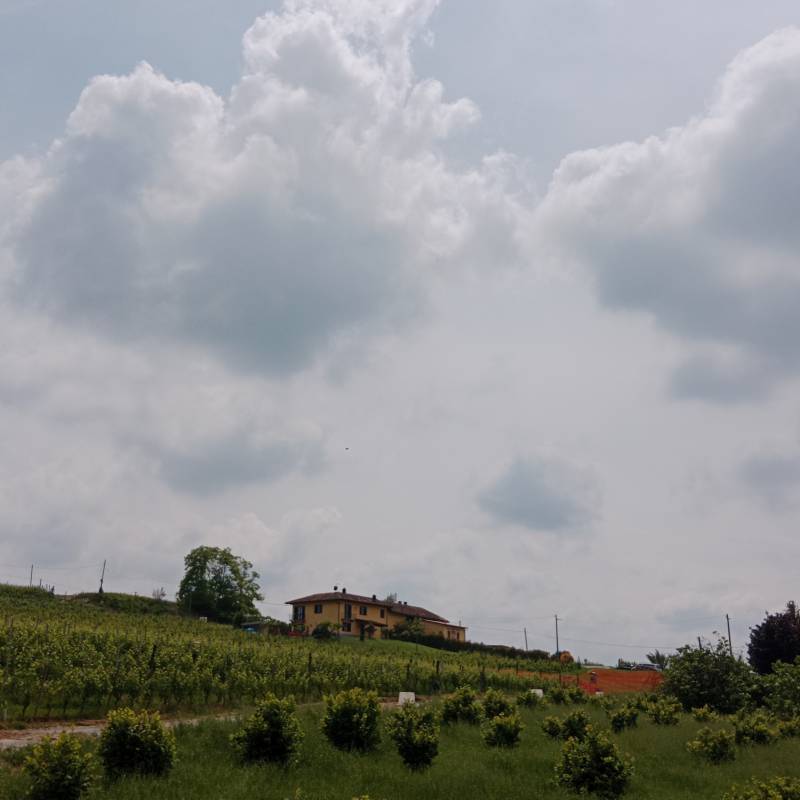 Fotosegnalazione di Castagnole delle lanze