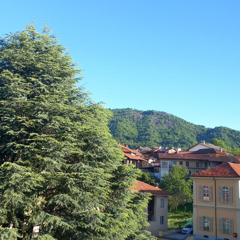 Fotosegnalazione di Forno canavese