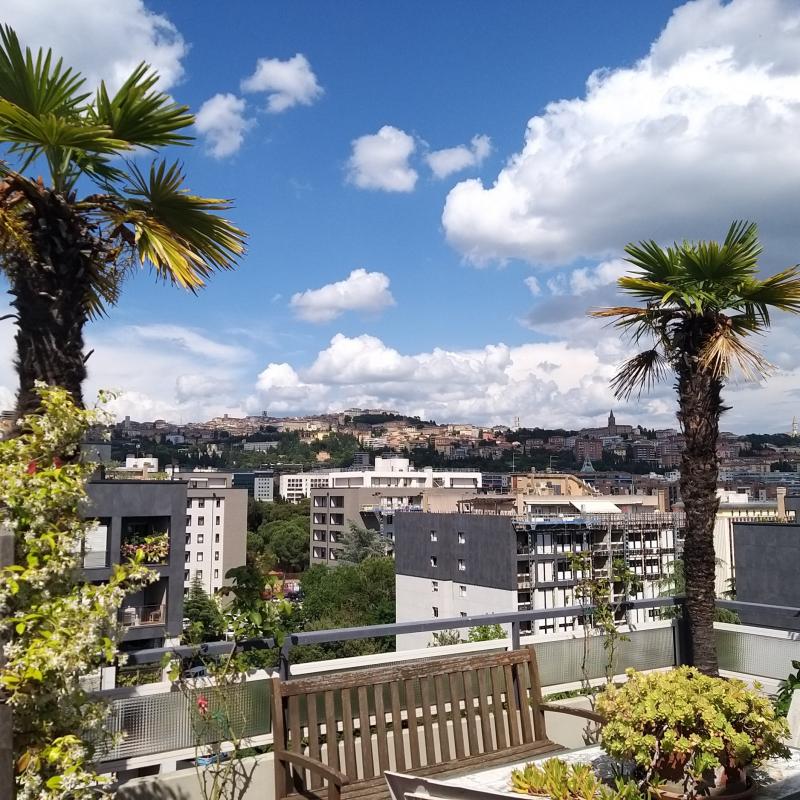 Fotosegnalazione di Perugia centro