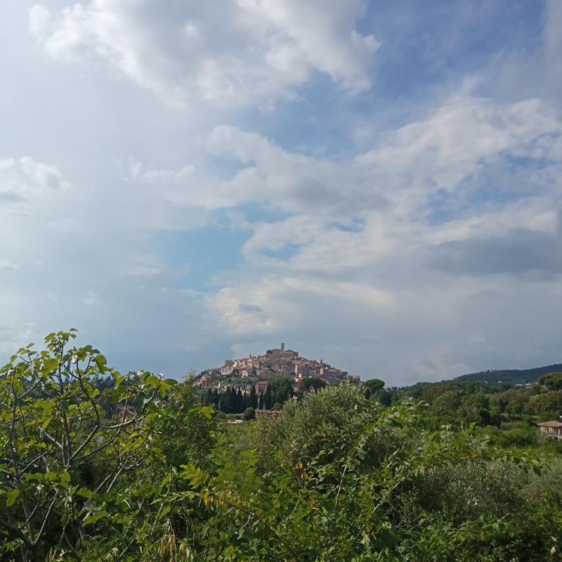 Fotosegnalazione di Palombara sabina