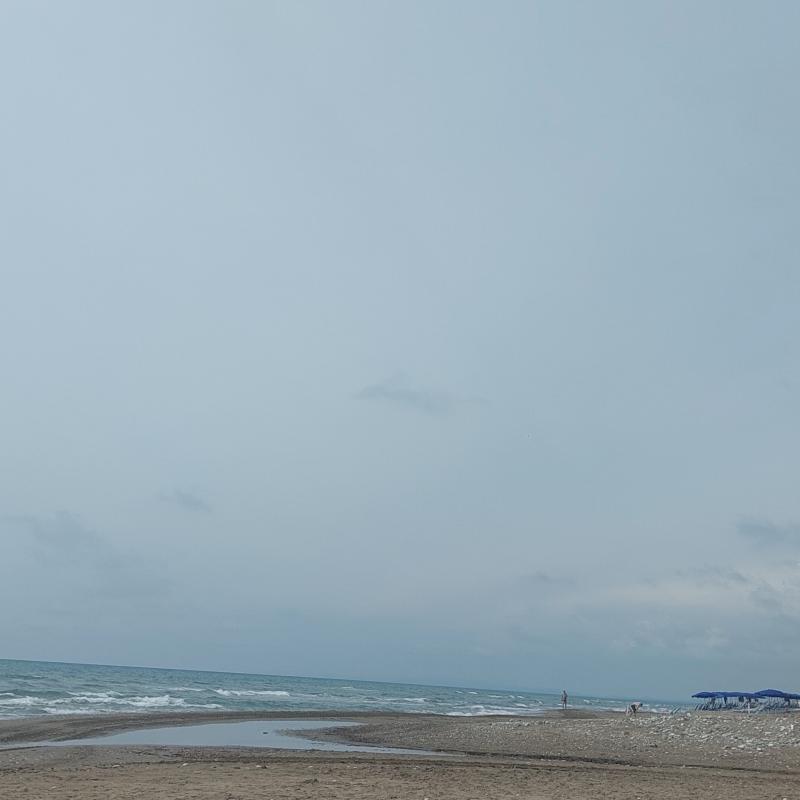 Fotosegnalazione di San vincenzo