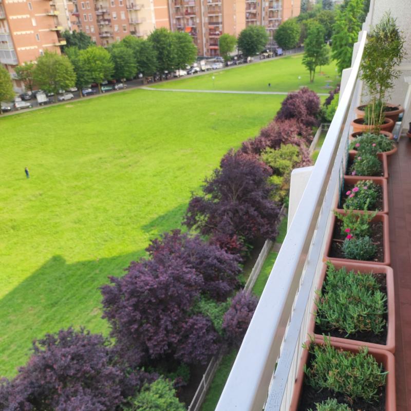 Fotosegnalazione di Alessandria periferia