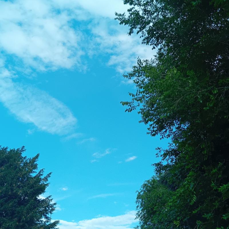 Fotosegnalazione di Alessandria centro
