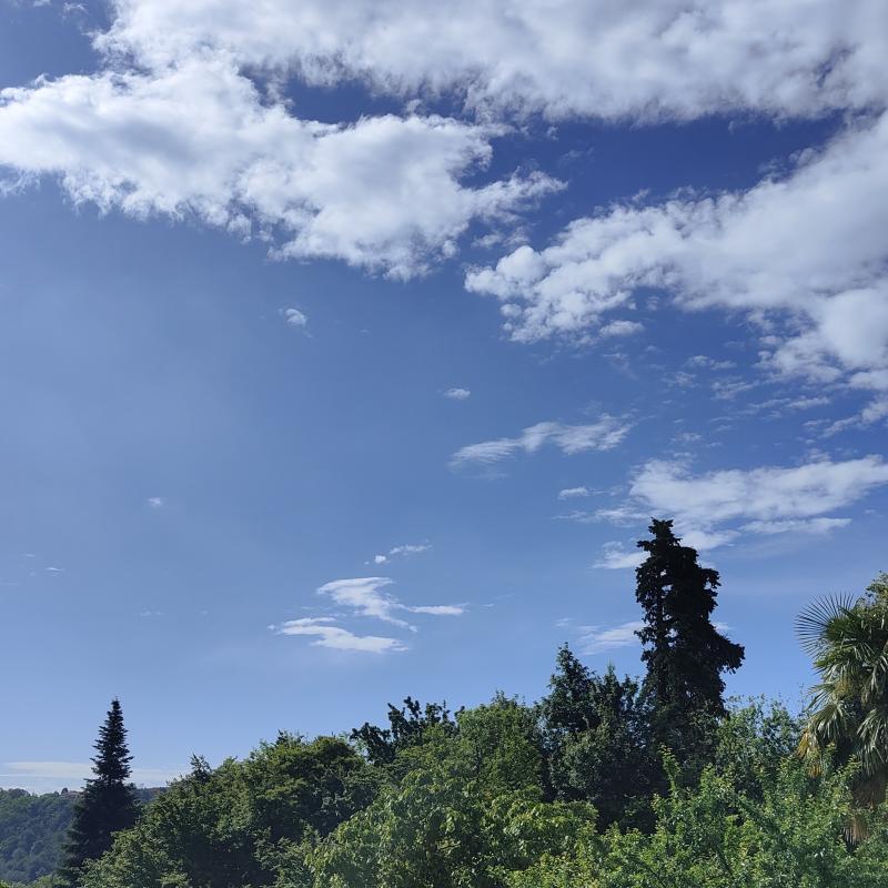 Fotosegnalazione di Barbania