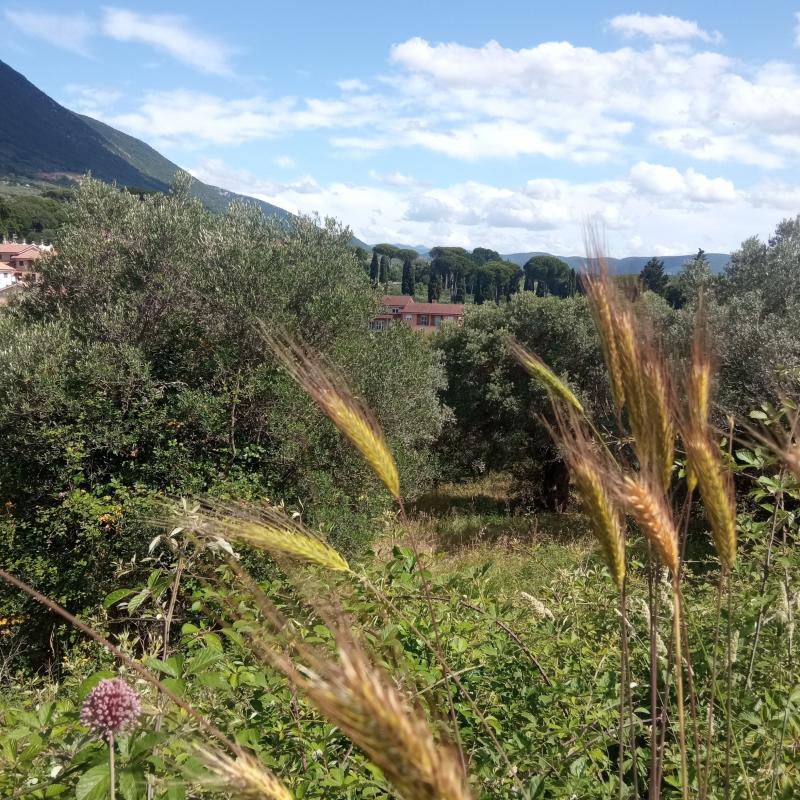 Fotosegnalazione di Palombara sabina