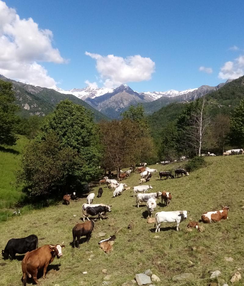 finalmente e' arrivato giugno con il sole