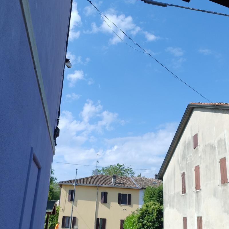 Fotosegnalazione di Sissa trecasali