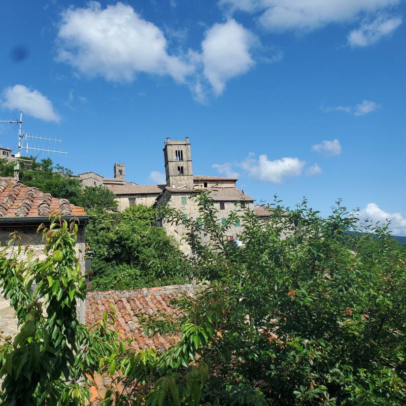 Fotosegnalazione di Santa fiora