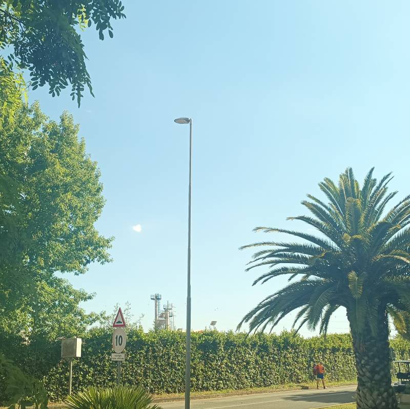 Fotosegnalazione di Montelibretti