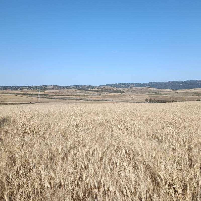 Fotosegnalazione di Serri