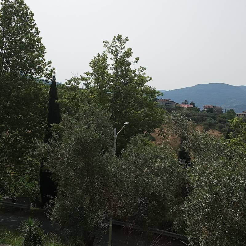 Fotosegnalazione di Serra d'aiello